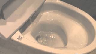 シャワートイレの洗浄ノズル・ビデ洗浄ノズルの清掃方法