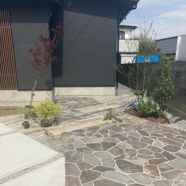 #アメニクス #乱張り #アプローチ