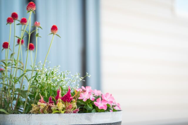 玄関先やお庭の一角に彩りを。
植栽計画からデザイン、施工まで、エクステリアのことなら私たちにお任せください🌹

外構・エクステリアのご提案・施工にお悩みの工務店様🏠キャッツガーデンなら打合せ・提案・見積発注・現場管理・施工まで、ワンストップで対応いたします😼

新築、リフォーム問わずご提案させていただきます。

その他の施工事例はこちら🍃
@garden.sjk

----------------------------------------------
株式会社　清水住建工業
〒381-1215
長野県長野市松代町西寺尾1763
TEL: 026-278-2473
FAX: 026-278-8255
お気軽にお問い合わせください
HP: https://shimi-jyu.com/
----------------------------------------------
その他の施工事例はこちら
@garden.sjk

ともに、一緒に。
@nekonote.sjk

#清水住建工業 #SJK #ねこのて隊
#長野市 #長野 #松代 #外構
#エクステリ
#新築 #リフォーム
#エクステリア #庭造り #庭 #フェンス
#ウッドデッキ #植栽デザイン #植栽選び
#ガーデン #新築 #リフォーム